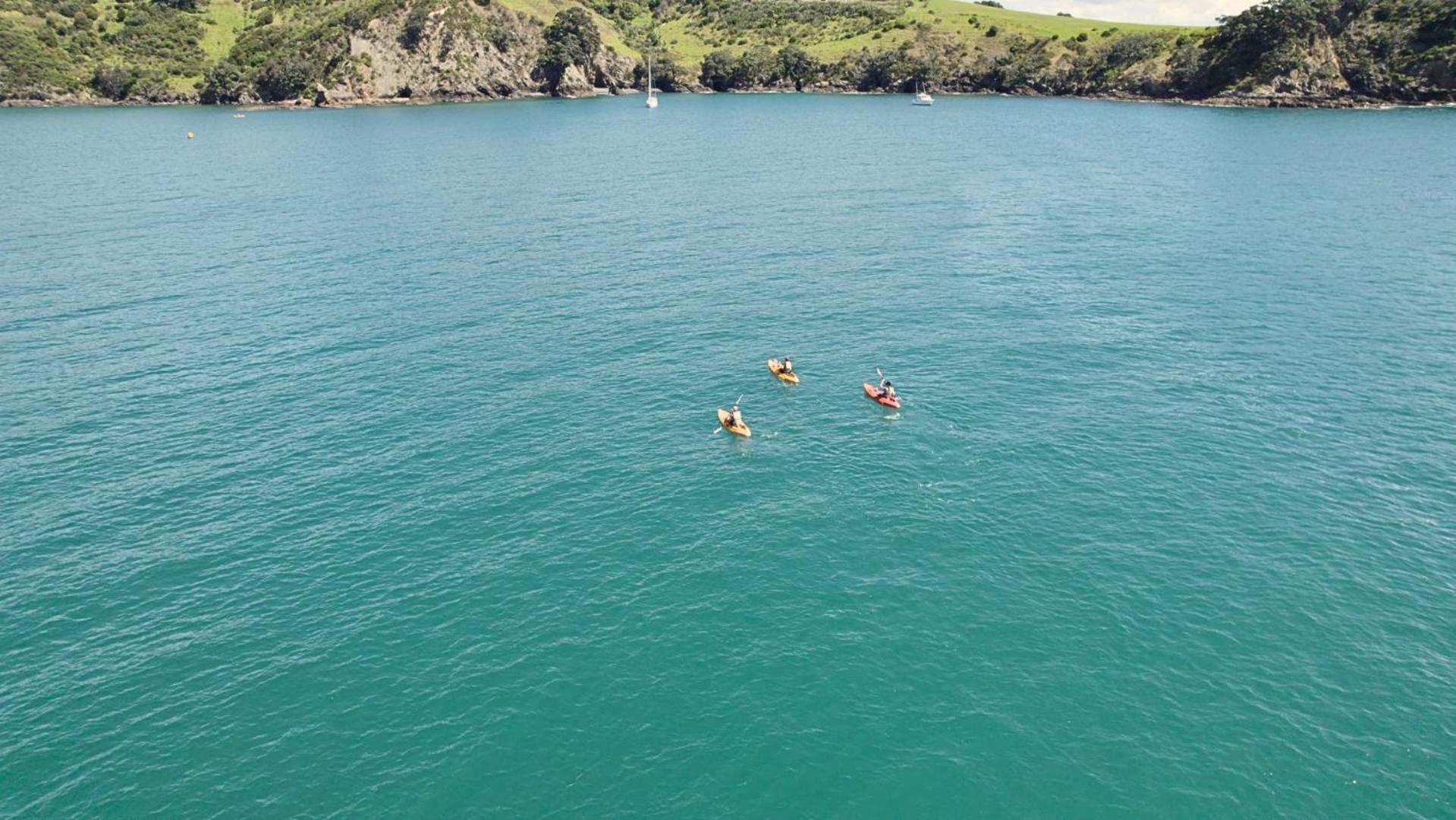 Waiheke Backpackers Hostel Onetangi Екстер'єр фото